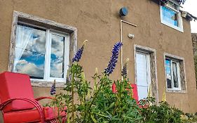 Los Lupinos
